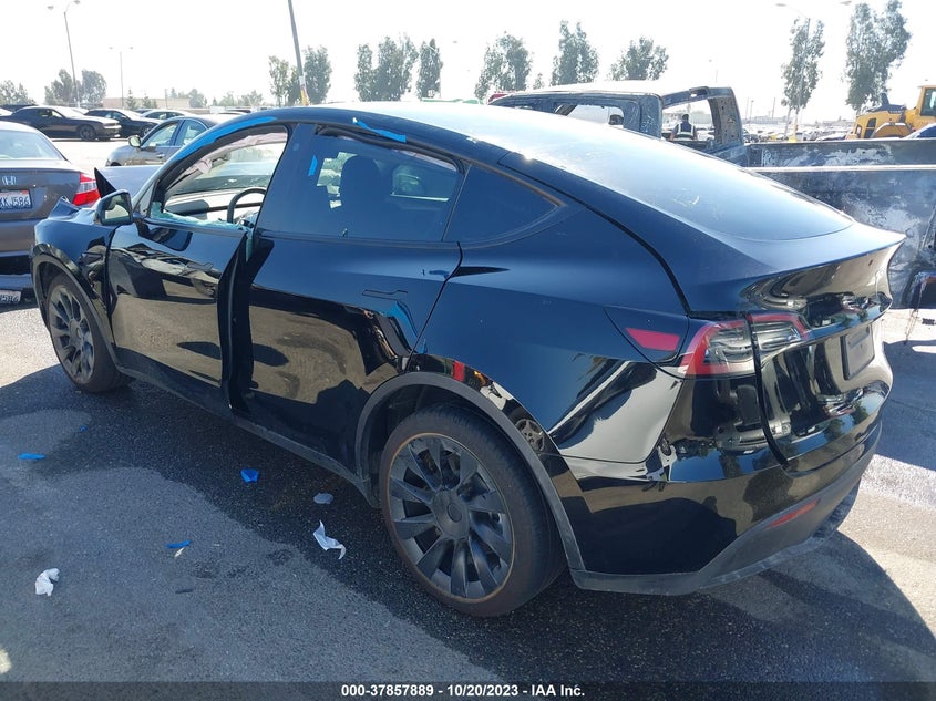 VIN 7SAYGDEE3PA116380 2023 TESLA MODEL Y LONG RANGE