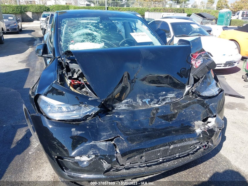 VIN 7SAYGDEE3PA116380 2023 TESLA MODEL Y LONG RANGE