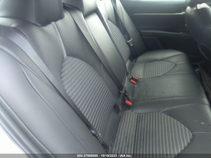 2019 TOYOTA CAMRY L/LE/XLE/SE/XSE - 4T1B11HK1KU769132