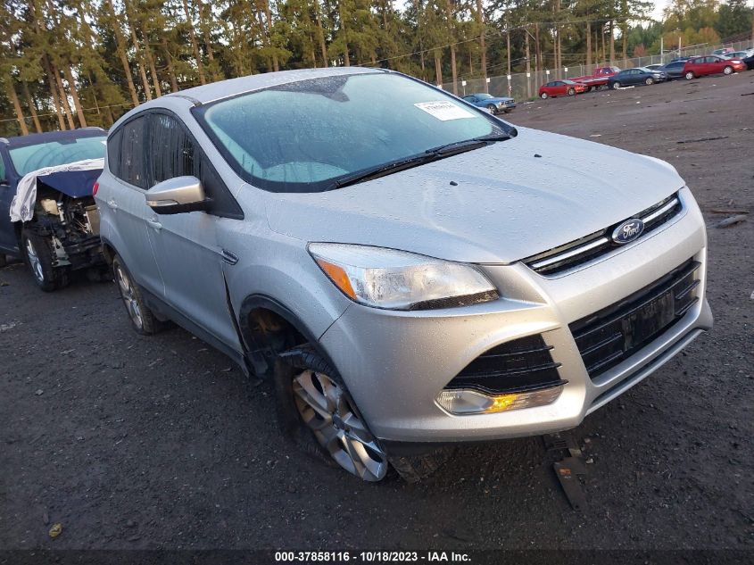 2013 FORD ESCAPE SEL - 1FMCU9H91DUA25153