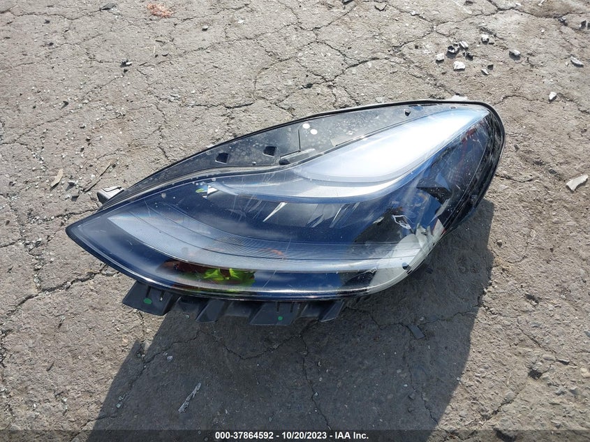 VIN 5YJYGDEF9MF250220 2021 TESLA MODEL Y PERFORMANCE