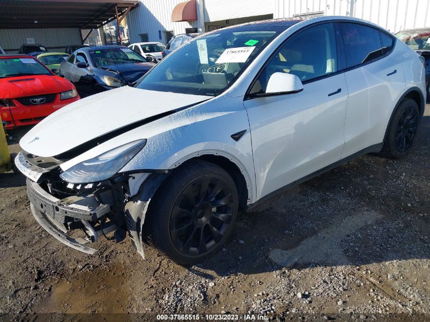 2021 TESLA MODEL Y - 5YJYGDED3MF192796