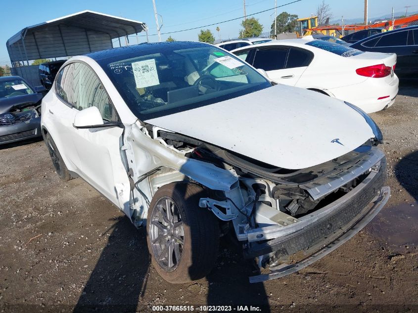 2021 TESLA MODEL Y - 5YJYGDED3MF192796