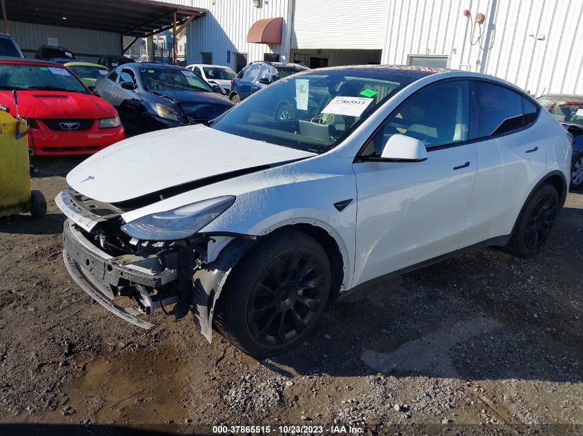 2021 TESLA MODEL Y - 5YJYGDED3MF192796