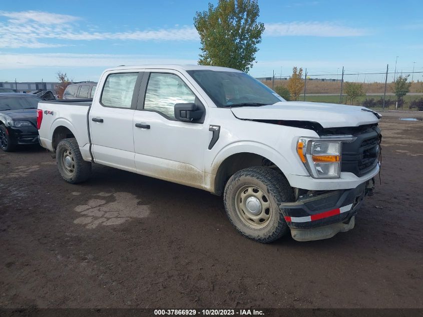 2021 FORD F-150 XL/XLT/LARIAT - 1FTFW1E59MKE41056