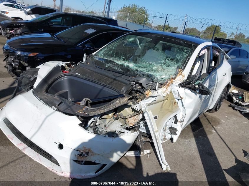 2023 TESLA MODEL Y - 7SAYGDEF2PF758231