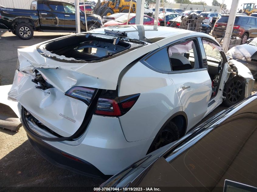 2023 TESLA MODEL Y - 7SAYGDEF2PF758231