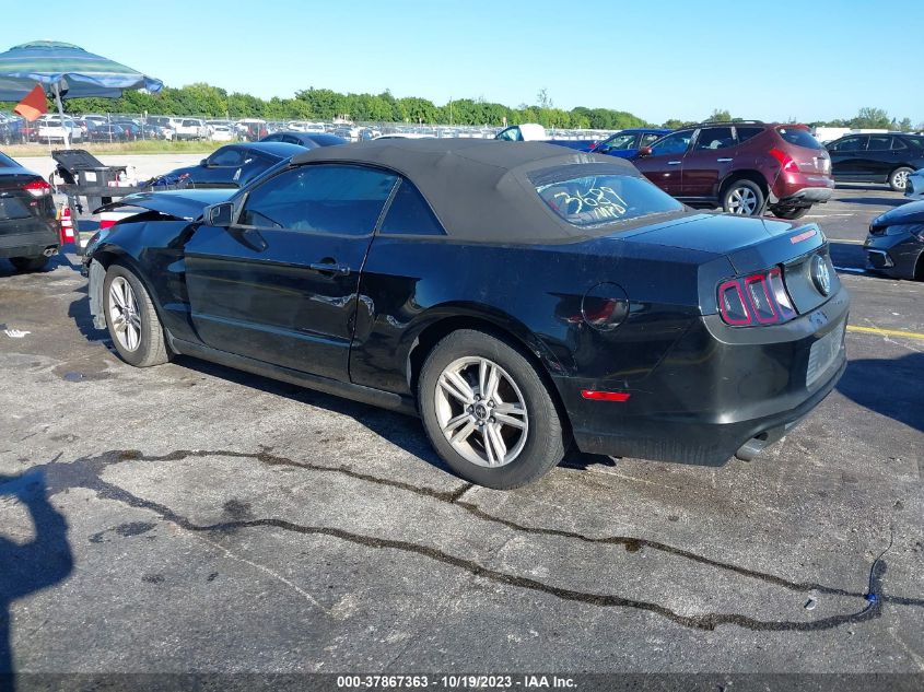 2013 FORD MUSTANG - 1ZVBP8EM5D5236891