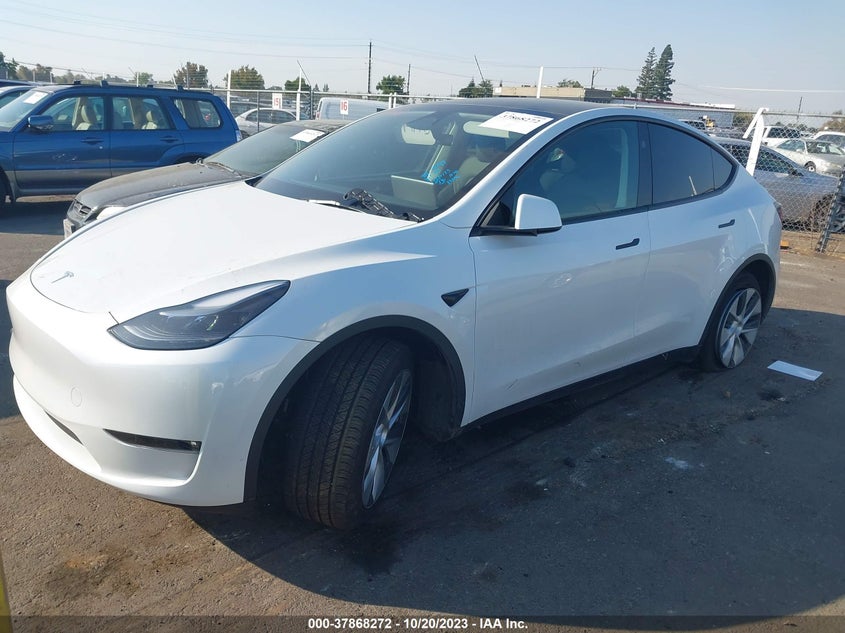 VIN 7SAYGDEEXPF814004 2023 TESLA MODEL Y