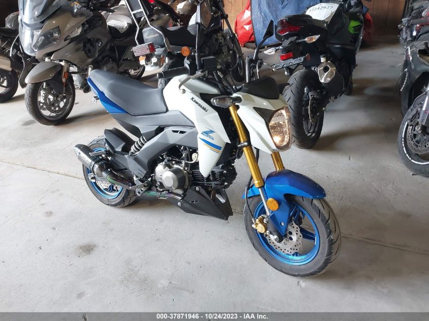 2022 KAWASAKI BR125 J - JKABRRJ12NDA22699