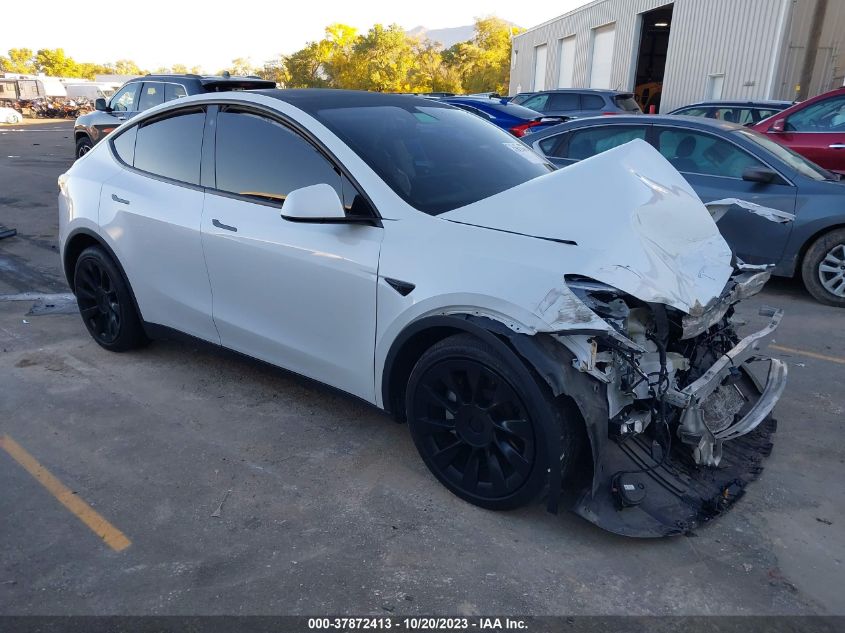 2021 TESLA MODEL Y - 5YJYGDEE0MF138946