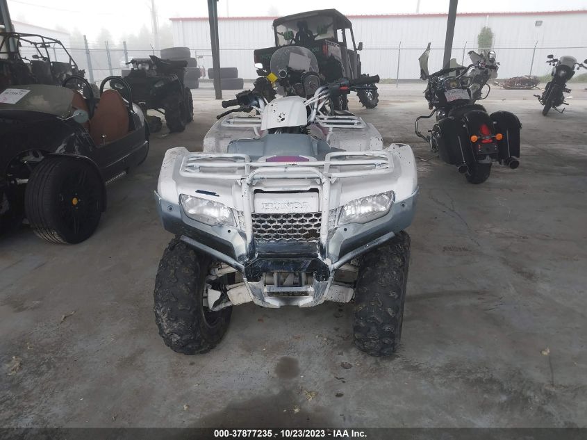 2019 HONDA TRX420 FM 1HFTE4032K4502736