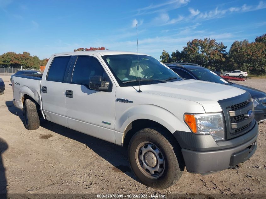 2013 FORD F-150 XL/XLT/FX4/LARIAT - 1FTFW1ET6DKF33255