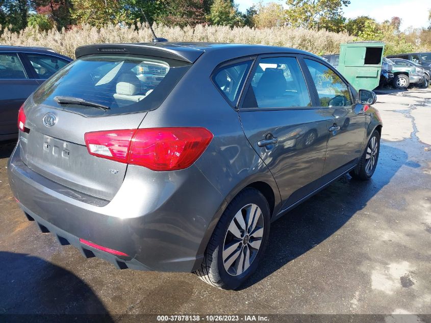 2013 KIA FORTE EX - KNAFU5A28D5693966
