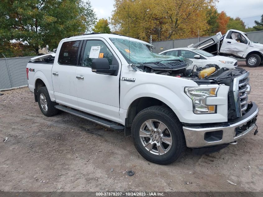 2016 FORD F-150 XLT/XL - 1FTEW1E81GKF62335