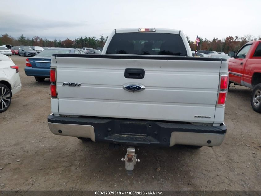 2013 FORD F-150 XL/STX/XLT/FX4/LARIAT - 1FTFX1EF3DKE30169