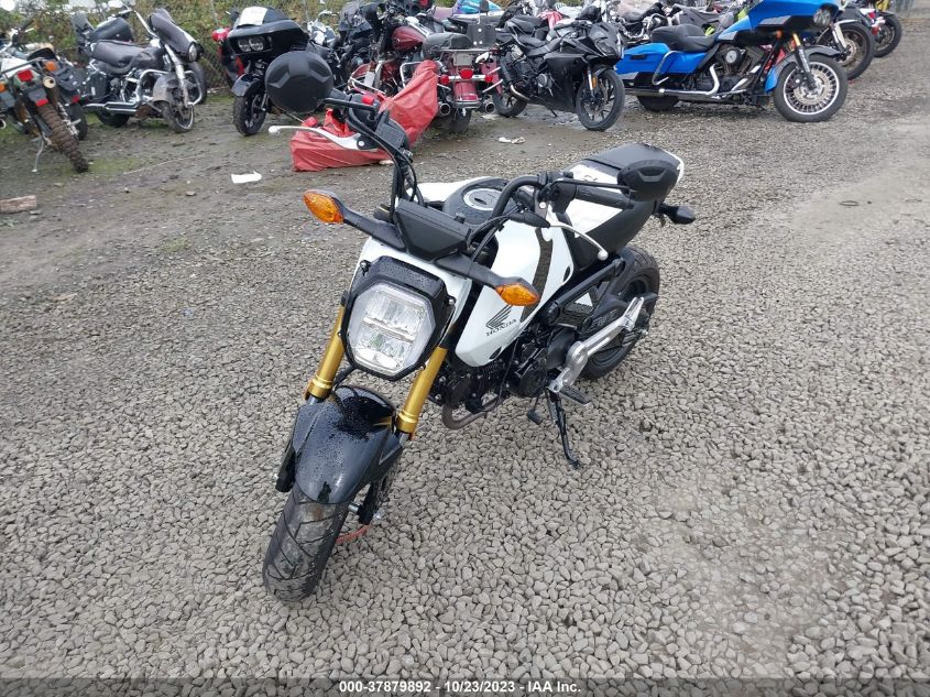 2024 HONDA GROM 125 - MLHJC9211R5202462