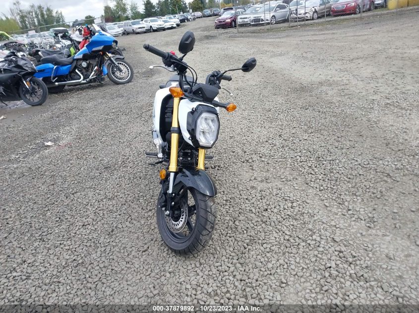 2024 HONDA GROM 125 - MLHJC9211R5202462