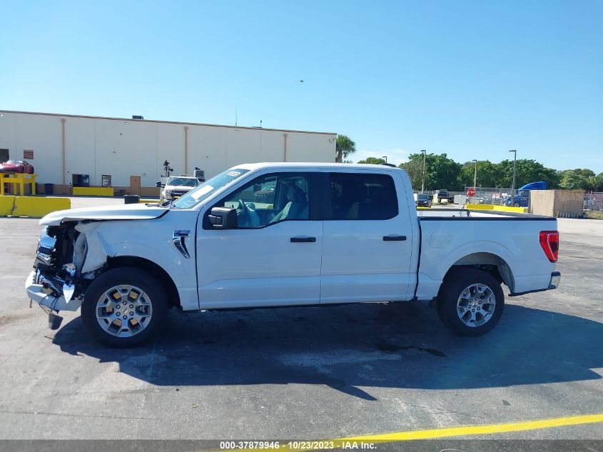 2023 FORD F-150 XL/XLT/LARIAT - 1FTEW1C80PKD69662