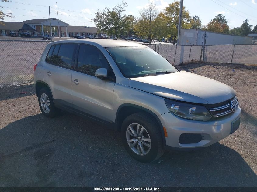 2013 VOLKSWAGEN TIGUAN S - WVGAV7AX9DW540181