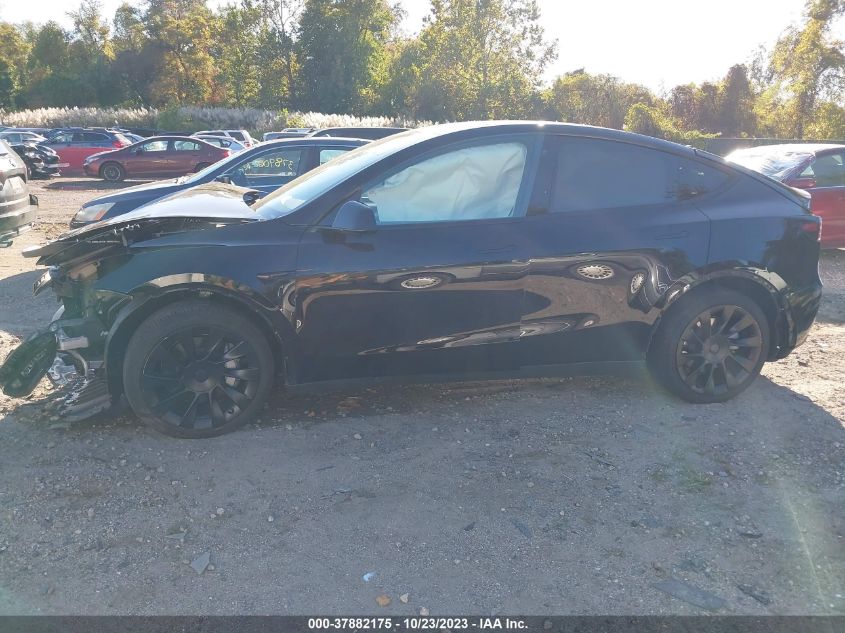 2023 TESLA MODEL Y - 7SAYGAEE4PF648447