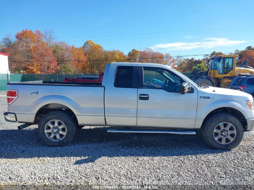 2013 FORD F-150 XL/STX/XLT/FX4/LARIAT - 1FTFX1EF0DFA88558