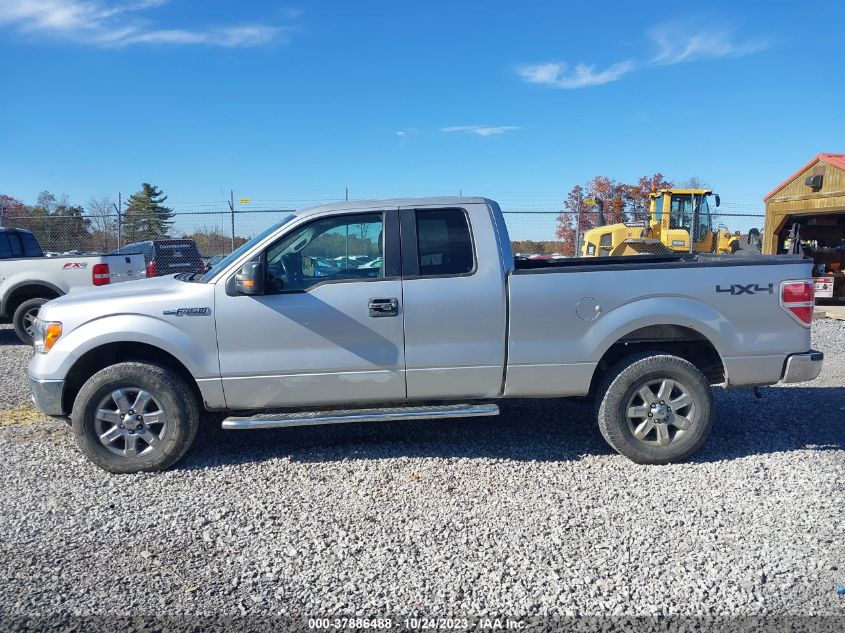 2013 FORD F-150 XL/STX/XLT/FX4/LARIAT - 1FTFX1EF0DFA88558