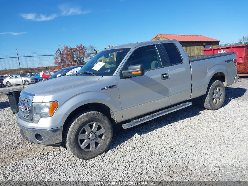 2013 FORD F-150 XL/STX/XLT/FX4/LARIAT - 1FTFX1EF0DFA88558