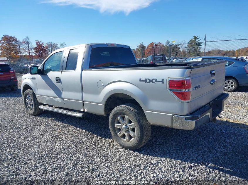 2013 FORD F-150 XL/STX/XLT/FX4/LARIAT - 1FTFX1EF0DFA88558