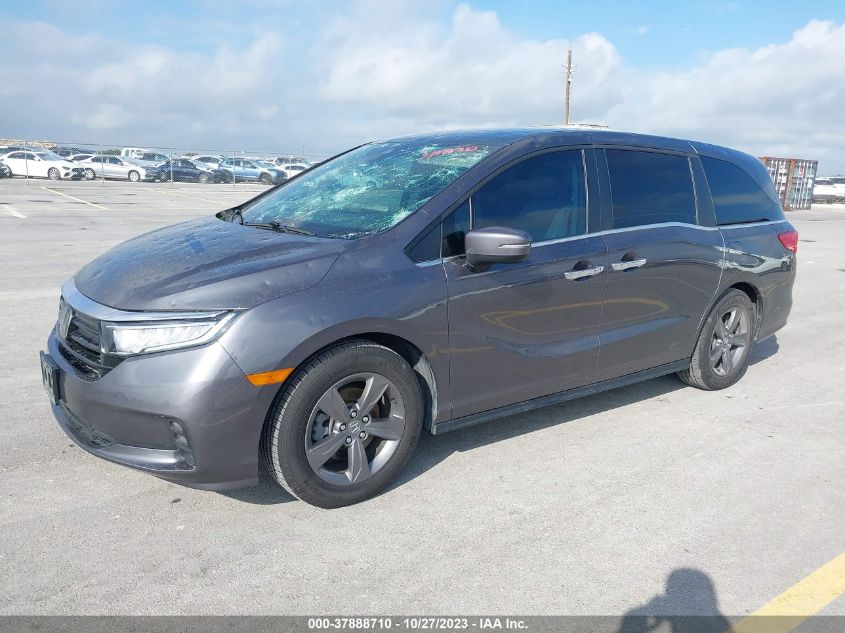 2022 HONDA ODYSSEY - 5FNRL6HF2ND012225