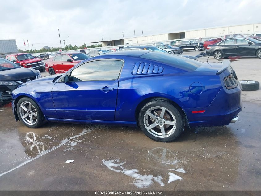 2014 FORD MUSTANG V6 - 1ZVBP8AM9E5316198