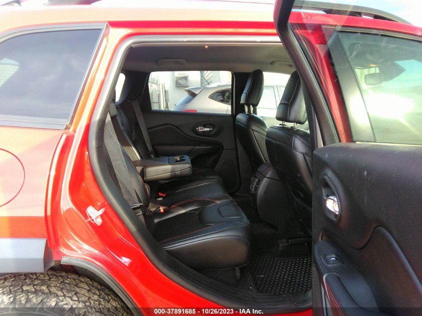 2019 JEEP CHEROKEE TRAILHAWK - 1C4PJMBX0KD255336