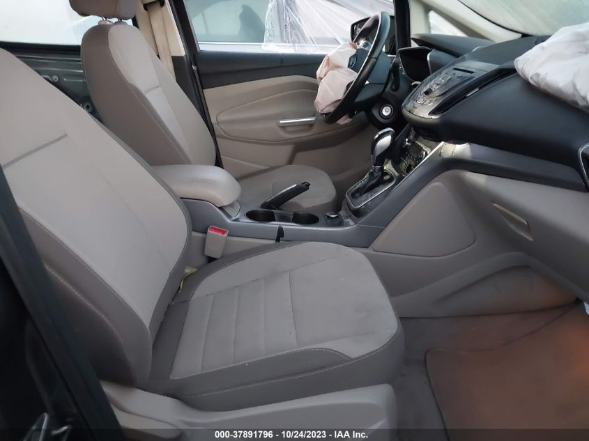 2013 FORD C-MAX HYBRID SE - 1FADP5AU8DL541562