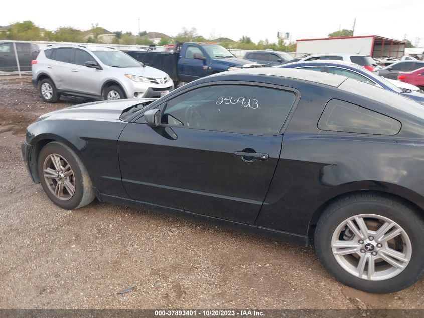 2014 FORD MUSTANG V6 - 1ZVBP8AM5E5256923