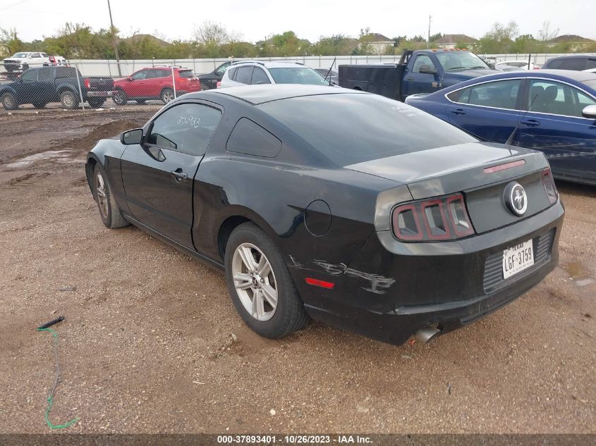 2014 FORD MUSTANG V6 - 1ZVBP8AM5E5256923