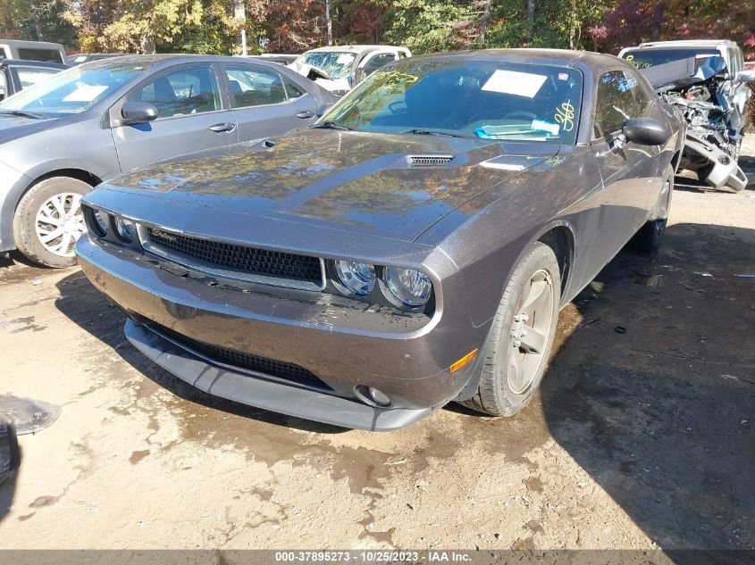 2013 DODGE CHALLENGER SXT - 2C3CDYAG8DH669957