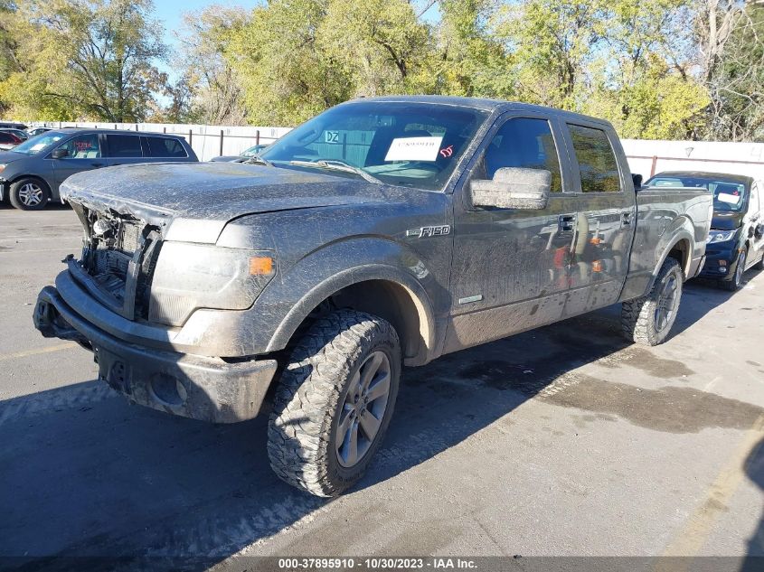 2013 FORD F-150 XL/XLT/FX4/LARIAT - 1FTFW1ET2DKG29187