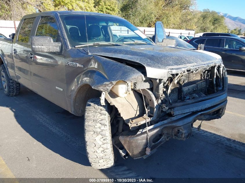 2013 FORD F-150 XL/XLT/FX4/LARIAT - 1FTFW1ET2DKG29187