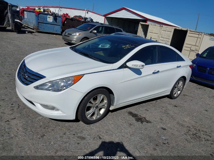 2013 HYUNDAI SONATA LIMITED - 5NPEC4AC3DH629516