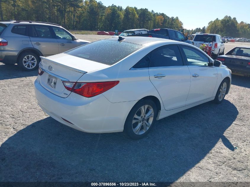 2013 HYUNDAI SONATA LIMITED - 5NPEC4AC3DH629516