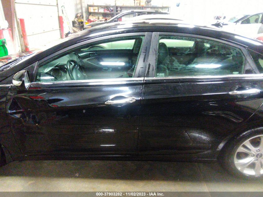 2013 HYUNDAI SONATA LIMITED - 5NPEC4AC3DH677016
