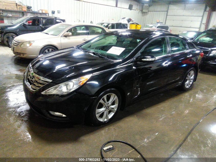 2013 HYUNDAI SONATA LIMITED - 5NPEC4AC3DH677016