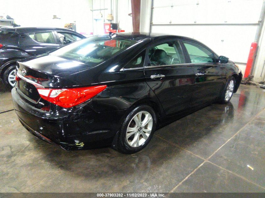 2013 HYUNDAI SONATA LIMITED - 5NPEC4AC3DH677016