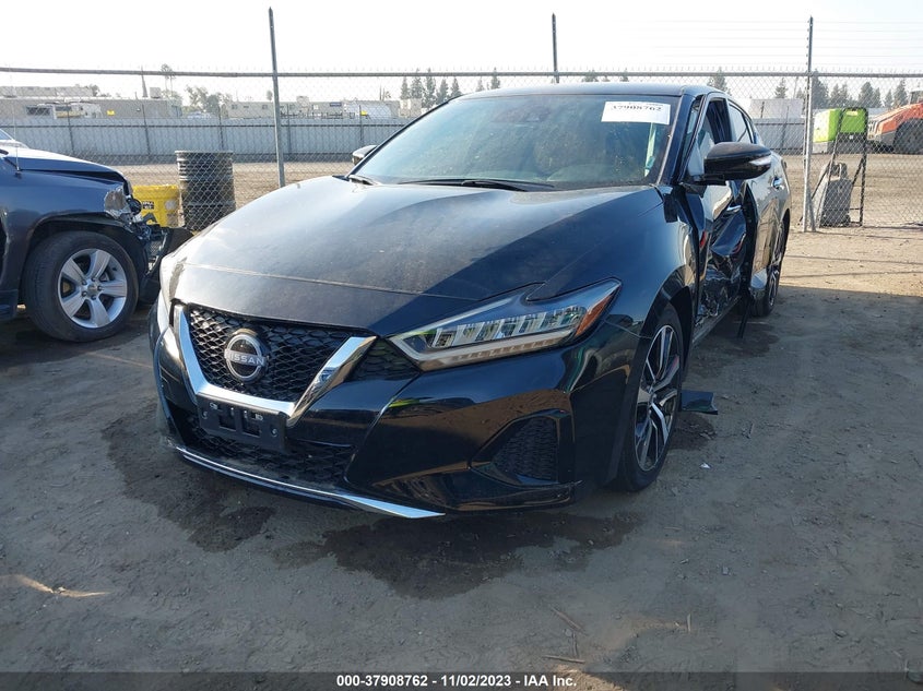 VIN 1N4AA6CV1PC501733 2023 NISSAN MAXIMA SV