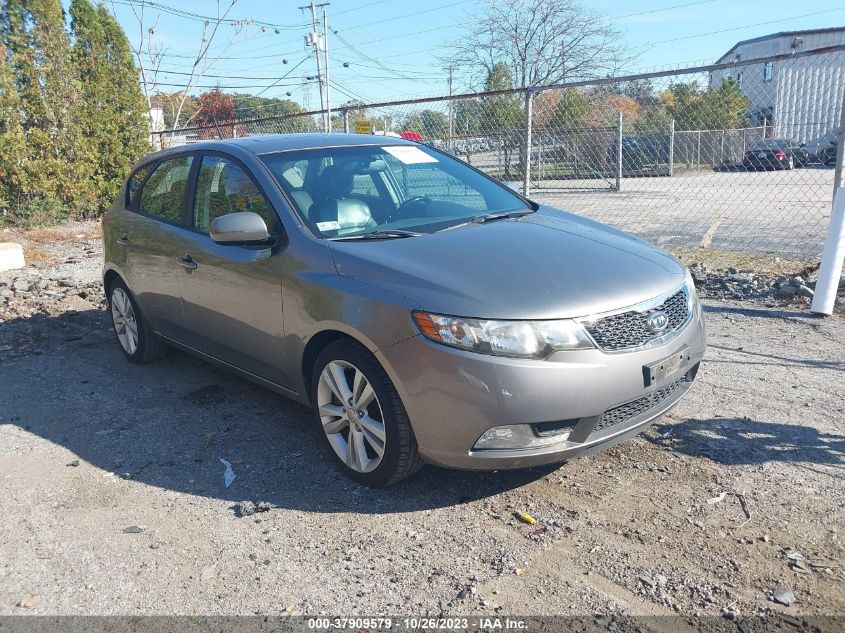 KNAFW5A31D5667129 | 2013 KIA FORTE