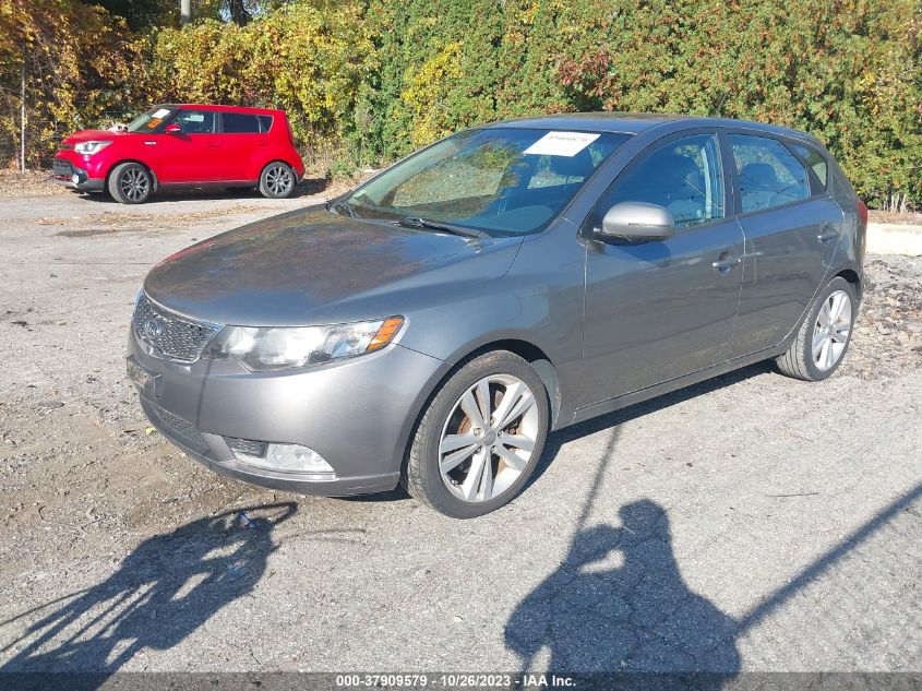 KNAFW5A31D5667129 | 2013 KIA FORTE