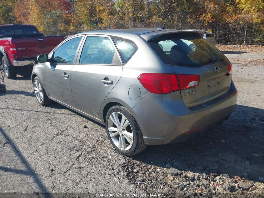 KNAFW5A31D5667129 | 2013 KIA FORTE