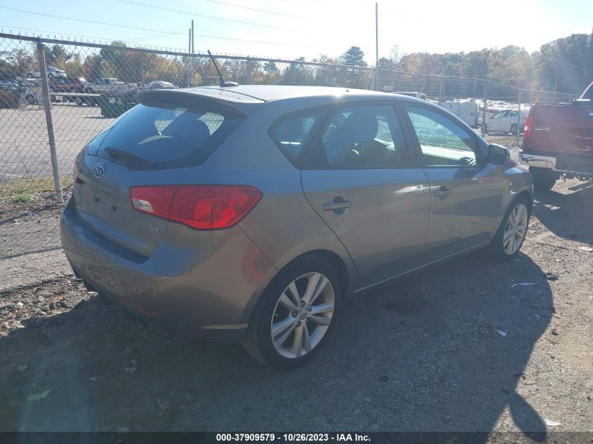 KNAFW5A31D5667129 | 2013 KIA FORTE