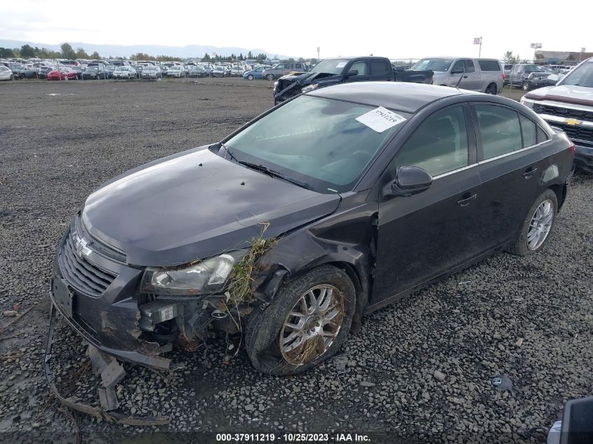 2013 CHEVROLET CRUZE 1LT - 1G1PC5SB5D7292221