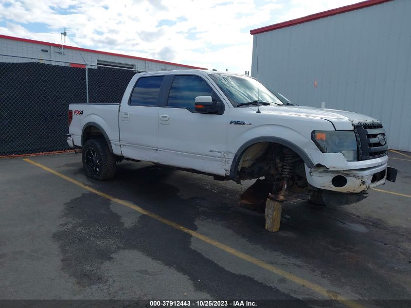 2013 FORD F-150 XL/XLT/FX4/LARIAT - 1FTFW1ET8DFB36848